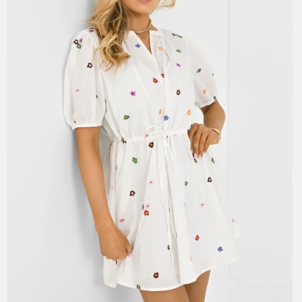 Velvet-Anthropologie Women's Cleo Dress Nwt O14